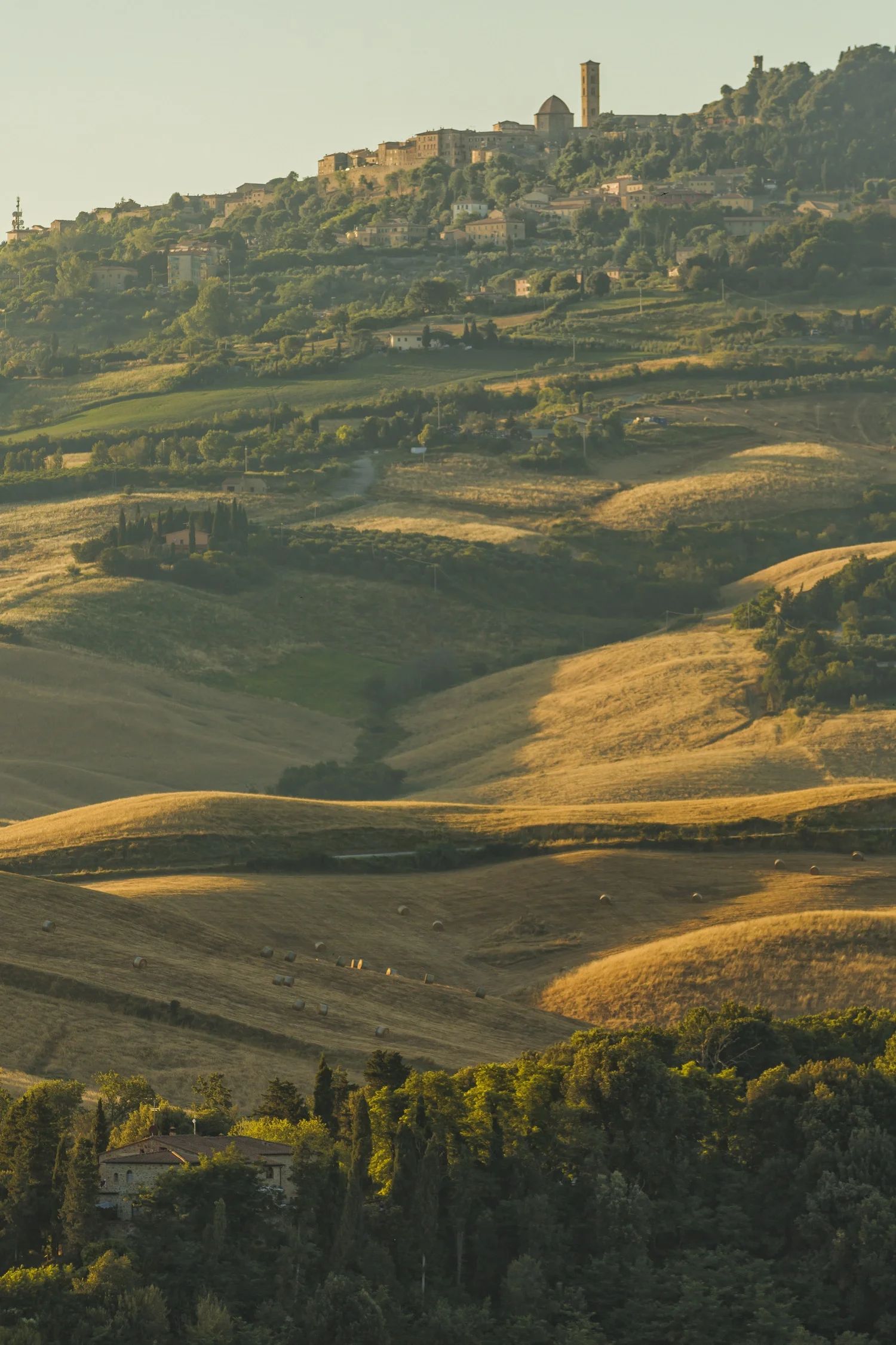 Le colline dorate sotto Volterra viste dal podere della famiglia Senes, con la città sullo sfondo