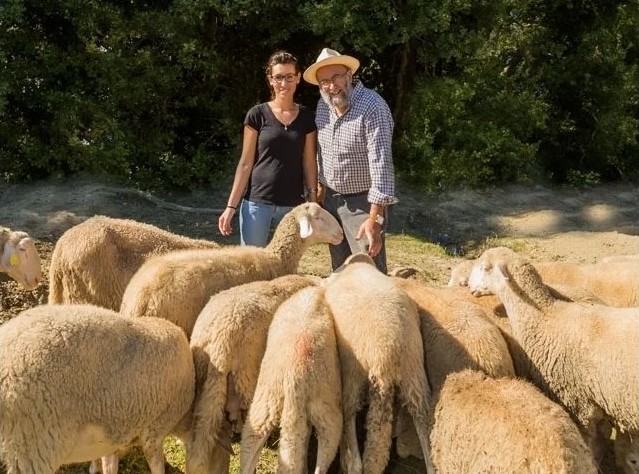 Sara e Angelo Senes con il gregge di pecore Pomarancine al pascolo