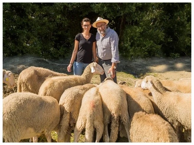 Sara e Angelo Senes con il gregge di pecore Pomarancine al pascolo